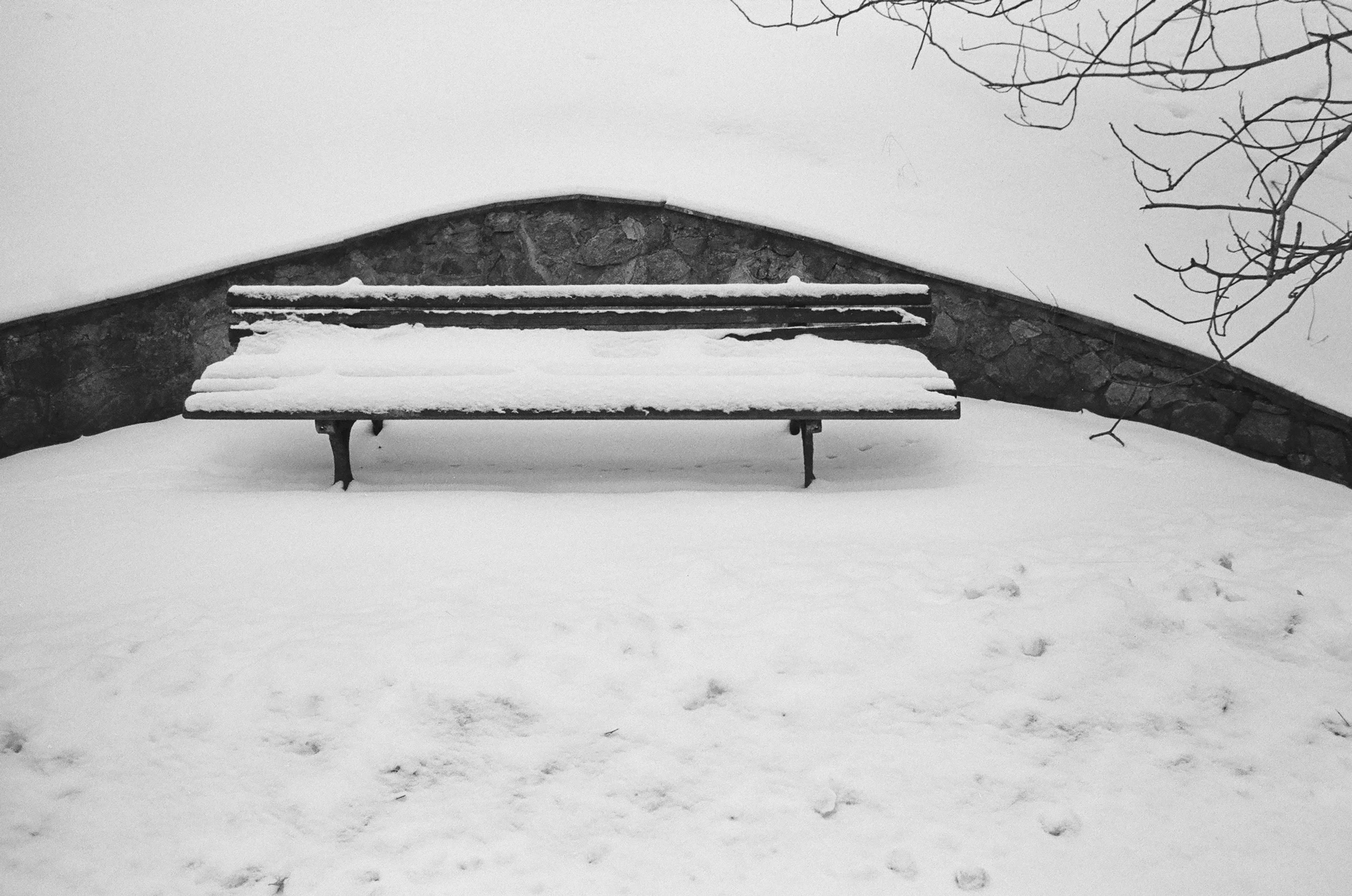 winter